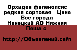 Орхидея фаленопсис редкая сортовая › Цена ­ 800 - Все города  »    . Ненецкий АО,Нижняя Пеша с.